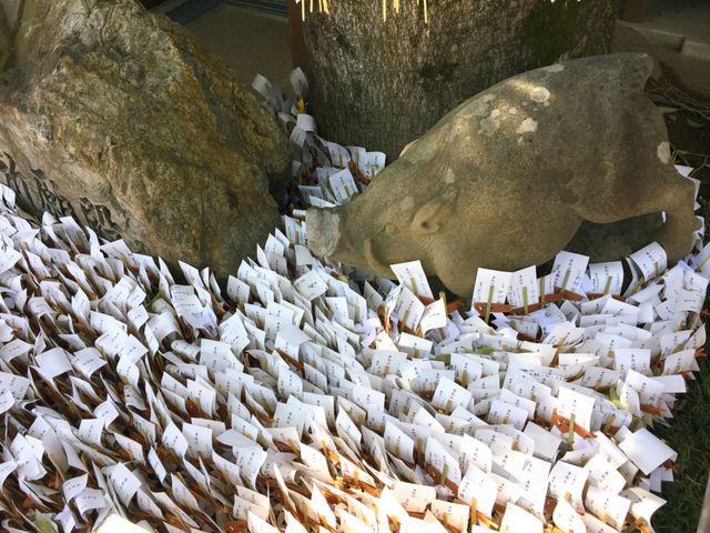 ���肢���ƂɈ傳�܂��ːi�B_�쉤�_��