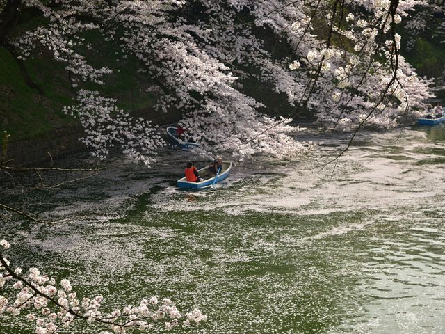 �璹�P������