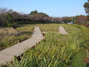 gV[̊ٗщԏҊ̓eʐ^1