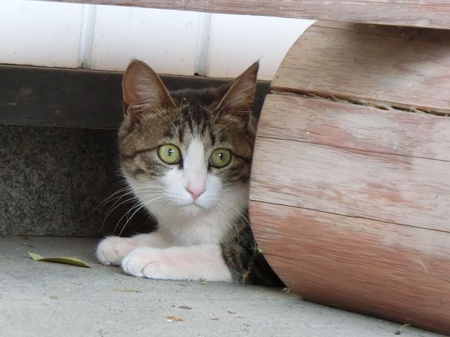 �g�J�Q�ƗV��ł����l�R_�E�_��