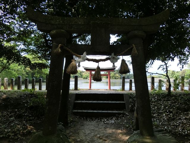 �O�p�r�����z��_�E�_��