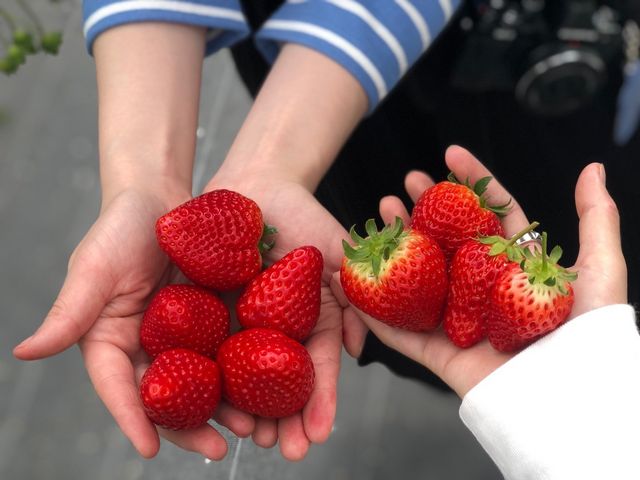 �^���ԂȂ����������_���������@�܂���