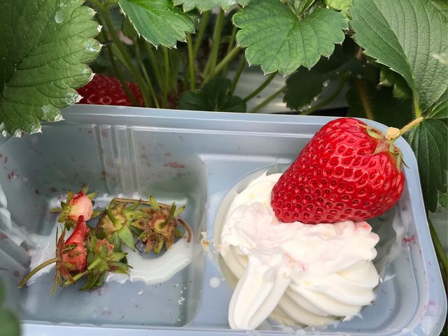 ���N���[��������Ƃ܂���������_�X�g���x���[�t�B�[���h