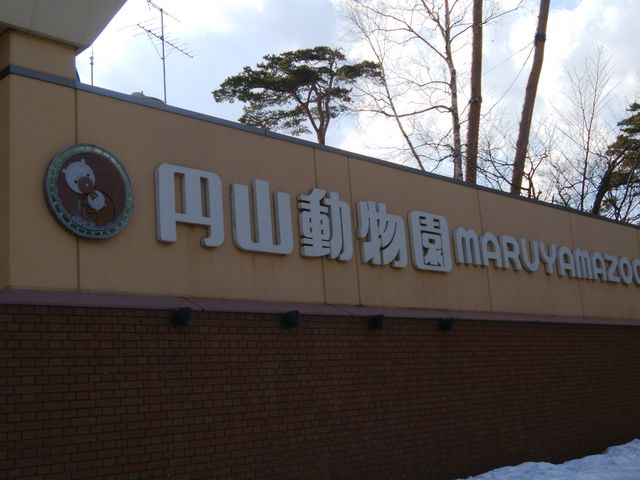 ����ł�_�~�R������