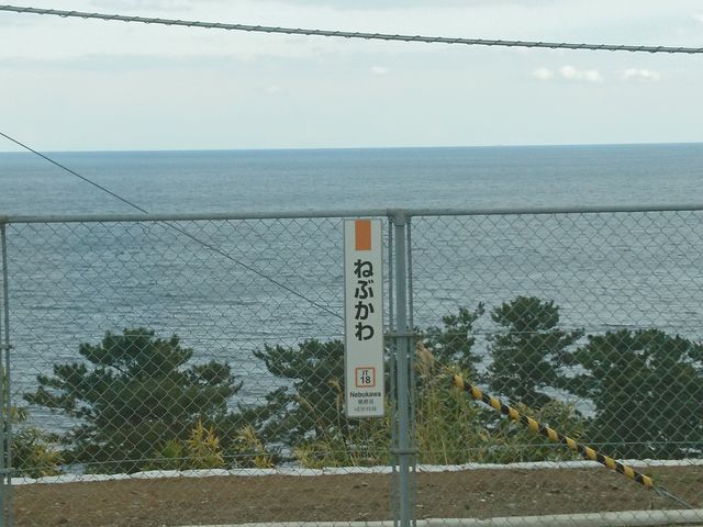 �C�̒��߂��悢_�i�q���{��w