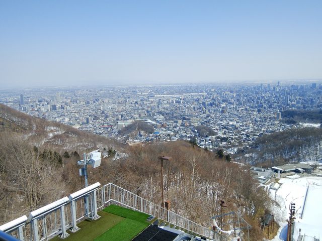 ��i�ł�_��q�R�W�����v���Z��