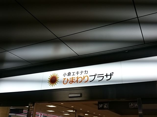 ܂܂̒|T VIERRAqX̓eʐ^1