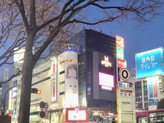 ΂̏aJwOXNu_ւ̓eʐ^1