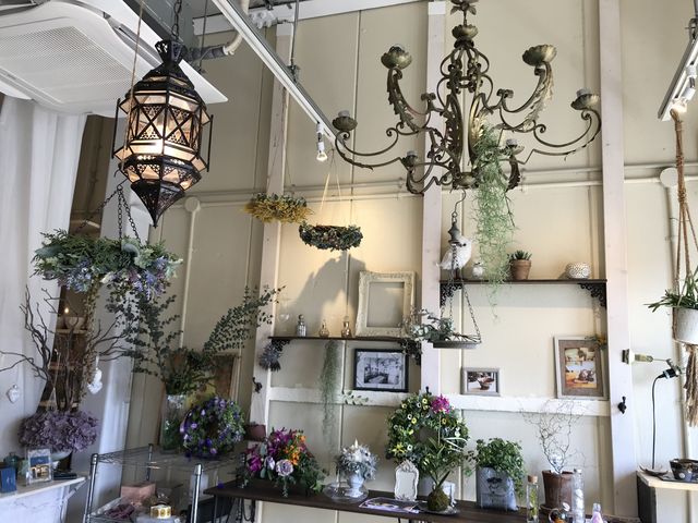 ���炵���X���ł��B_�v���[�W�F���|����