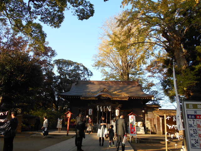 ���ꑽ�_��_���ꑽ�_��