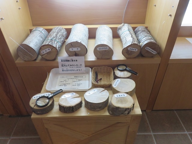 �ٓ�_���֒�r�W�^�[�Z���^�[