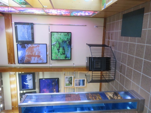 �ٓ�_���֒�r�W�^�[�Z���^�[