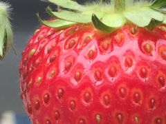 ݂Ȃ݂TENDO@DAYSւ̓eʐ^1