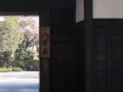 kenken����̔��F���ւ̓��e�ʐ^1