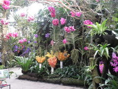 ayukononi̊Cmւ̓eʐ^1