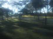 ��������̕Љ��~�т̓��e�ʐ^1