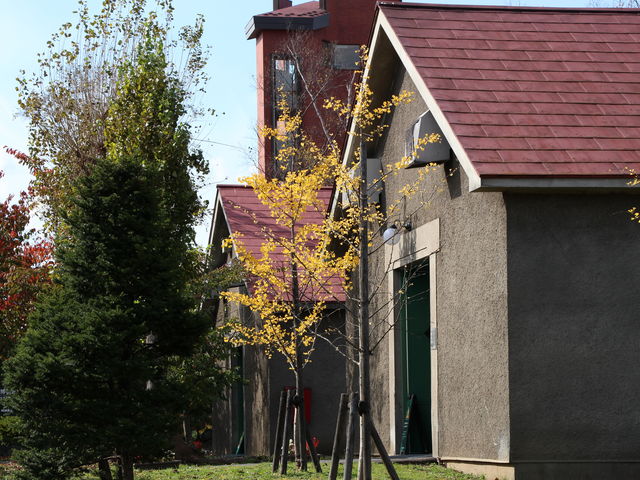 �j�b�J�E���X�L�[�]�s
_�j�b�J�E���X�L�[�]�s������