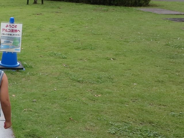 ۂɂ傳ARCOFi{sΘJفj̓eʐ^1