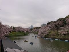 I̐璹Pւ̓eʐ^1