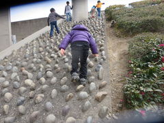 はるひ夢の森公園 自転車