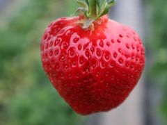 傤񂳂̂邤_ւ̓eʐ^1