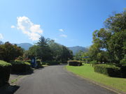 ۂɂ傳̊򕌌ǂ̍̓eʐ^1