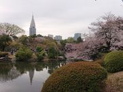 �����������I����̐V�h�䉑�̍��̓��e�ʐ^1