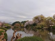 �����������I����̐V�h�䉑�̍��̓��e�ʐ^2