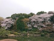 �����������I����̐V�h�䉑�̍��̓��e�ʐ^3