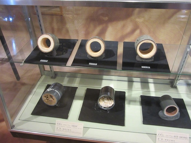 ����̊�_�����W�I�~���[�W�A��