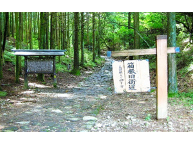 箱根旧街道_箱根旧街道(静岡県三島市)
