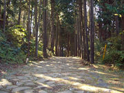 �킩�ԁ[����̔������X���Ώ�̓��e�ʐ^1