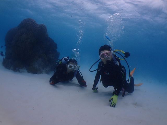 �e�q�Ń_�C�r���O_��ʓ��_�C�u�T�C�g