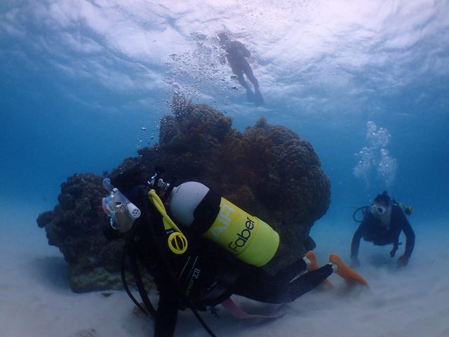 �e�q�Ń_�C�r���O_��ʓ��_�C�u�T�C�g