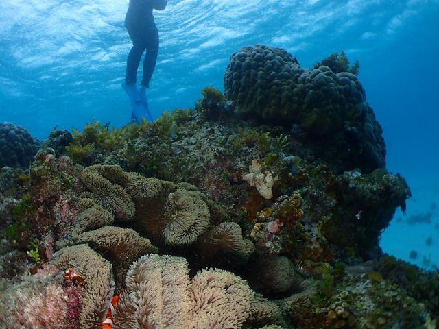 �V���m�[�P�����O���̒��j_��ʓ��_�C�u�T�C�g