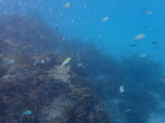 ���J�ł��C�̒��͕���_��ʓ��_�C�u�T�C�g