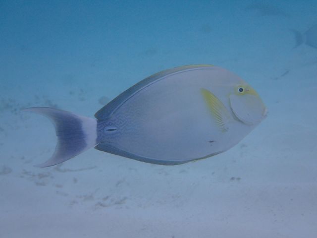 �J�N���N�}�m�~�Ɠ����̋�����_��ʓ��_�C�u�T�C�g