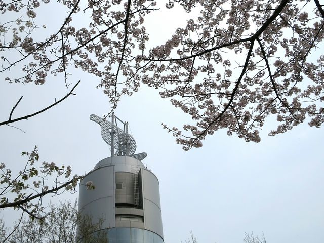 �W�]���ƍ�_��ʃs�[�X�~���[�W�A���i��ʌ����a�����فj