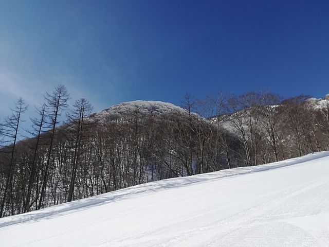 ���P�����X�m�[�p�[�N