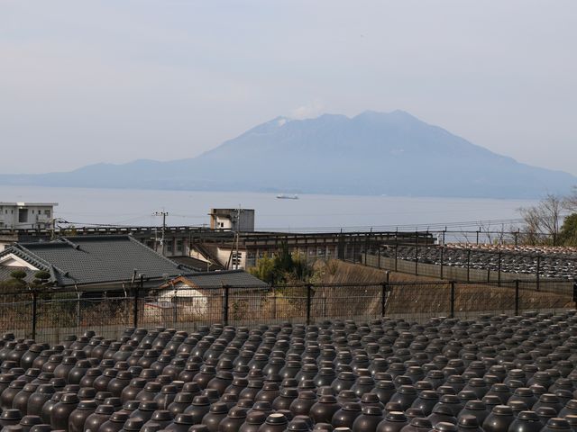 E102̍⌳낷 ┨̓eʐ^1