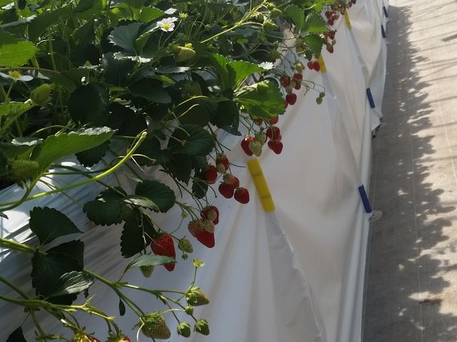 �ƂĂ����ꂢ�ł��B_�q���t�@�[��