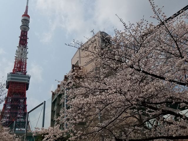�Ō�������̍�_�Ō����y�ё��㎛�����̍�