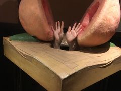 Vf̓Ŷ炭蔎قւ̓eʐ^1