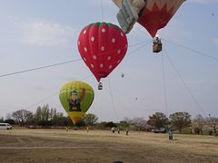 ܂肿񂳂̓nǐ^ւ̓eʐ^1