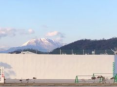 ���ʎj�ՕF����Ղ̎ʐ^2