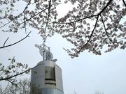 炢̍ʃs[X~[WAiʌaفj̓eʐ^1