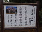 �݁B����̒������̎}�����̓��e�ʐ^4