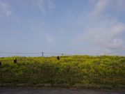 ܂肿񂳂̓nǐ^̓eʐ^1