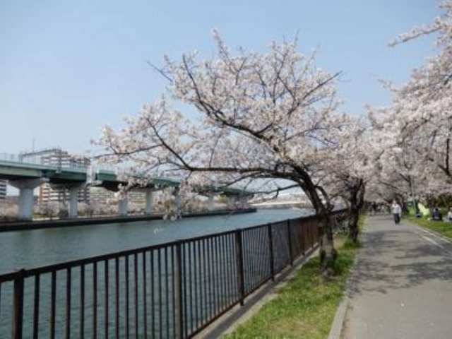 �����o�b�N�ɍ����؂������܂�_�єn���V�{����