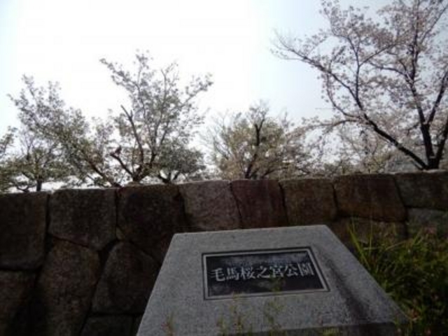 �������V�C�ł���_�єn���V�{����